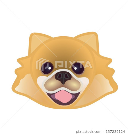 博美犬臉部插圖 博美犬臉部插圖 137229124