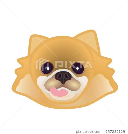 博美犬臉部插圖 博美犬臉部插圖 137229129