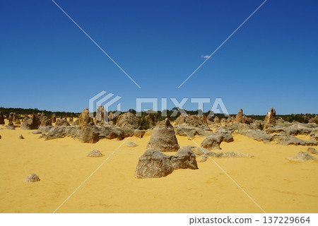 Pinnacles Desert Landscape, Western Australia Pinnacles Desert Landscape, Western Australia 137229664