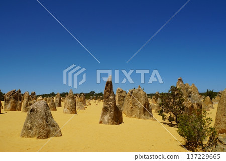 西澳大利亞尖峰沙漠景觀 137229665