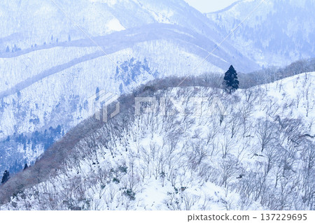 三重縣雪山 三重縣雪山 137229695