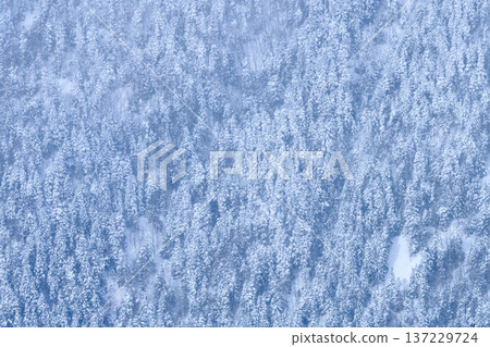岐阜縣雪山 岐阜縣雪山 137229724