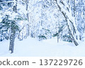 岐阜縣雪山 137229726