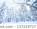 岐阜縣雪山 137229727