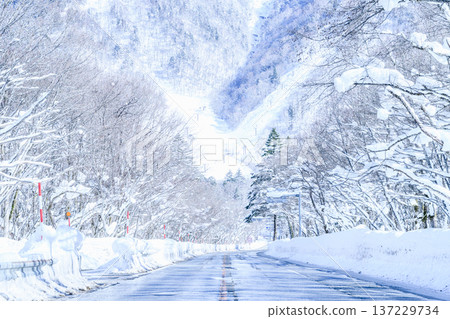 Gifu Prefecture Snowy Mountains Gifu Prefecture Snowy Mountains 137229734