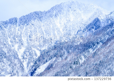 岐阜縣雪山 岐阜縣雪山 137229736