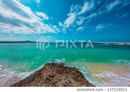 藍色的海 137229813