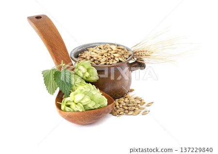 Beer ingredients still life isolated on white background Beer ingredients still life isolated on white background 137229840
