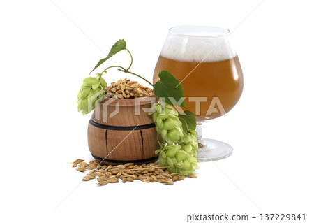 Rustic Beer Ingredients Display with Glass, Hops, and Barley Rustic Beer Ingredients Display with Glass, Hops, and Barley 137229841