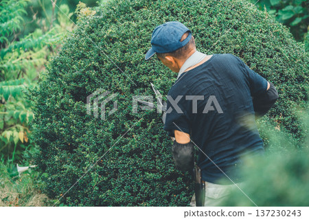 pruning, gents, male 137230243