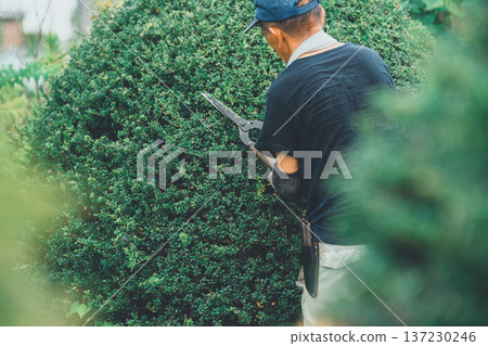 修剪 男人 男 137230246