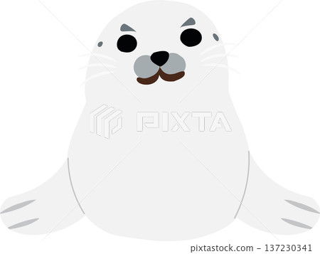 Cute gray baby seal pup. Cute baby seal . Baby seal cartoon 137230341