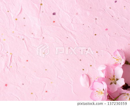 櫻花與粉紅背景素材 春天 137230359