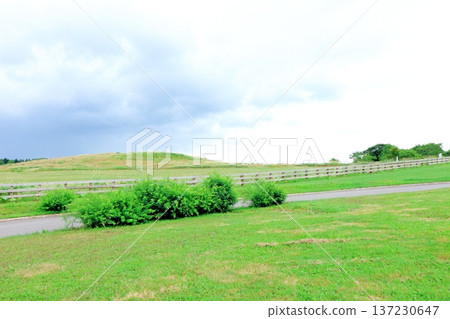 北海道遊記 八月大雪森林花園 北海道花園 137230647