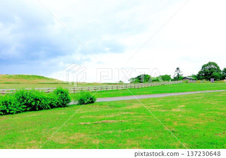 北海道遊記 八月大雪森林花園 北海道花園 北海道遊記 八月大雪森林花園 北海道花園 137230648