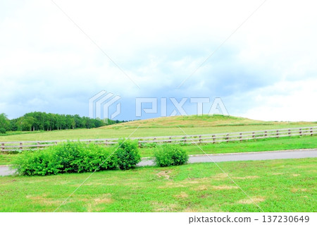 北海道遊記 八月大雪森林花園 北海道花園 137230649