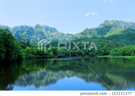 六月戶隱鏡池 信州自然 信州風景 六月戶隱鏡池 信州自然 信州風景 137231377