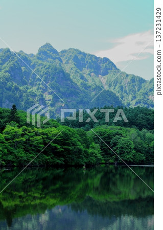六月戶隱鏡池 信州自然 信州風景 六月戶隱鏡池 信州自然 信州風景 137231429