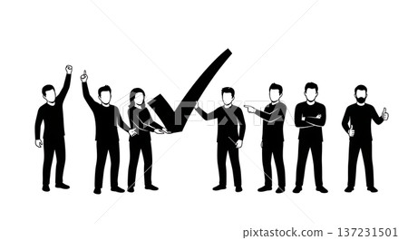 Black Solid Developer Check Icon Silhouettes Set of Six on White Background 137231501