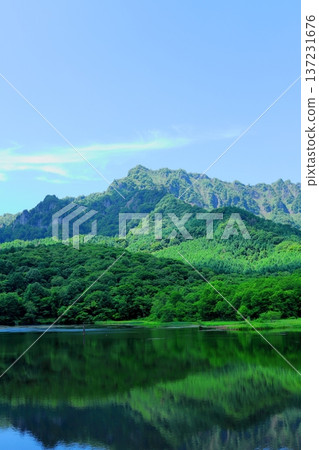 Kagamigaike Pond in Togakushi in June Nature of Shinshu Scenery of Shinshu Kagamigaike Pond in Togakushi in June Nature of Shinshu Scenery of Shinshu 137231676