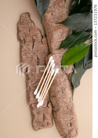 Eco-friendly wooden cotton swabs on tree bark and green leaves promote a sustainable approach to beauty and self-care. Green lifestyle, eco-consciousness, consumption 137231976