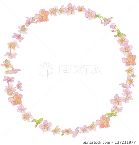 河津櫻花水彩插畫花環 137231977