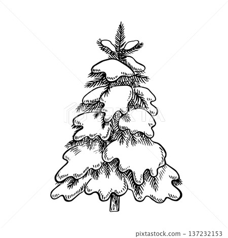 Snow-covered Christmas tree. Black and white graphics, handmade vector illustration of a snowy winter tree. Isolate. Design element for festive Christmas greeting cards, posters, packaging, and more. Snow-covered Christmas tree. Black and white graphics, handmade vector illustration of a snowy winter tree. Isolate. Design element for festive Christmas greeting cards, posters, packaging, and more. 137232153