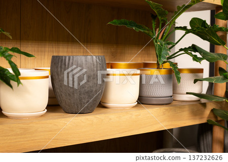 Shelf of houseplant pots at flora store. Find perfect pot size and style for your favorite plant. The home gardening store offers wide selection of indoor plant pots. Creating home garden Shelf of houseplant pots at flora store. Find perfect pot size and style for your favorite plant. The home gardening store offers wide selection of indoor plant pots. Creating home garden 137232626