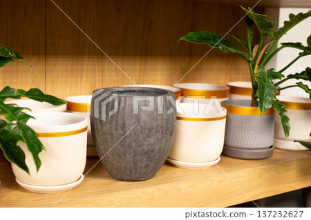 Buying houseplant as gift. Unusual and pleasant gift. House plant in ceramic pot. Pots on shelf at plant store. Houseplant to care for and nurture. Container for soil to plant the gifted plant Buying houseplant as gift. Unusual and pleasant gift. House plant in ceramic pot. Pots on shelf at plant store. Houseplant to care for and nurture. Container for soil to plant the gifted plant 137232627