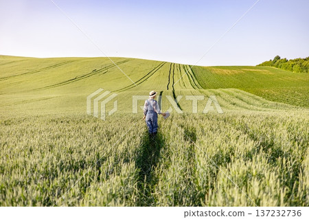 A person in overalls and a straw hat walks through a vast, green wheat field under a clear blue sky, with rolling hills in the background A person in overalls and a straw hat walks through a vast, green wheat field under a clear blue sky, with rolling hills in the background 137232736