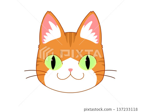 Brown and white cat facing forward 1/4 Brown and white cat facing forward 1/4 137233118