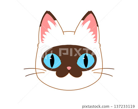 Brown and white cat facing forward 2/4 Brown and white cat facing forward 2/4 137233119