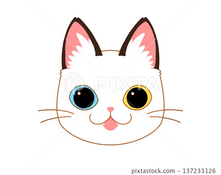 四分之一白棕色貓咪，面向前方 137233126