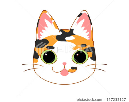 三色貓面向前方 2/4 137233127