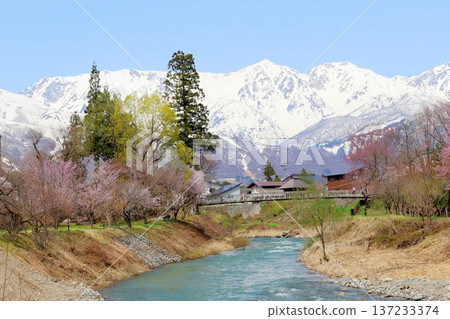 四月的白馬村,春天的白馬村景色,白雪皚皚的北阿爾卑斯山,信州景色 四月的白馬村,春天的白馬村景色,白雪皚皚的北阿爾卑斯山,信州景色 137233374