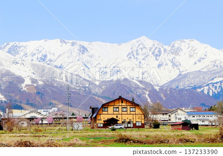 Hakuba Village in April Hakuba Village scenery in spring Snow-capped Northern Alps Shinshu scenery Hakuba Village in April Hakuba Village scenery in spring Snow-capped Northern Alps Shinshu scenery 137233390