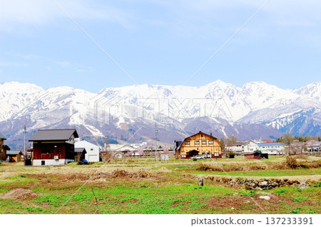 Hakuba Village in April Hakuba Village scenery in spring Snow-capped Northern Alps Shinshu scenery Hakuba Village in April Hakuba Village scenery in spring Snow-capped Northern Alps Shinshu scenery 137233391