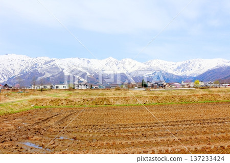 四月的白馬村,春天的白馬村景色,白雪皚皚的北阿爾卑斯山,信州景色 四月的白馬村,春天的白馬村景色,白雪皚皚的北阿爾卑斯山,信州景色 137233424
