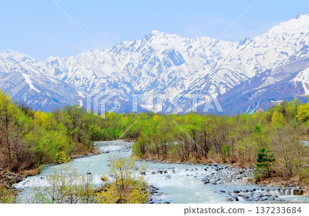 四月的白馬村，春天的白馬村景色，白雪皚皚的北阿爾卑斯山，信州景色 137233684