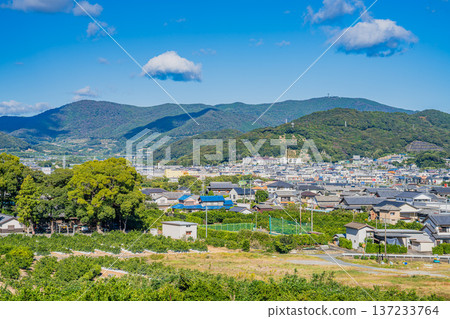 靜岡縣濱松市三牙町的景色 137233764