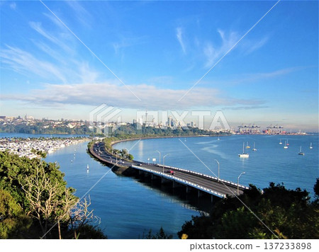 奧克蘭城市景觀,包括海岸線和海港大橋 奧克蘭城市景觀,包括海岸線和海港大橋 137233898