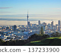 Spectacular view of Auckland cityscape and Sky Tower shrouded in morning mist 137233900