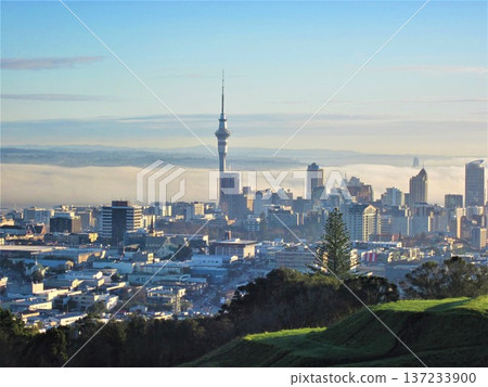 Spectacular view of Auckland cityscape and Sky Tower shrouded in morning mist Spectacular view of Auckland cityscape and Sky Tower shrouded in morning mist 137233900