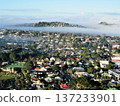 Auckland residential area shrouded in morning mist as seen from Mount Eden 137233901