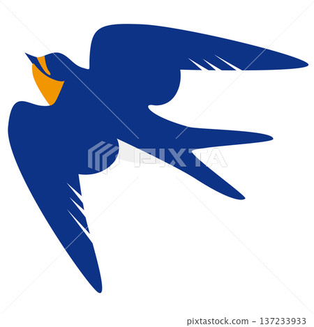 Cute swallow illustration Cute swallow illustration 137233933
