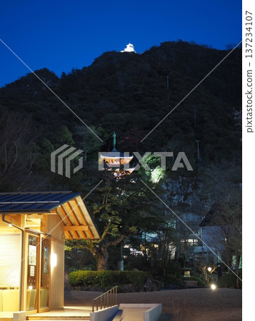 岐阜公園夜景 137234107