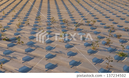 Neatly arranged blocks 137234502