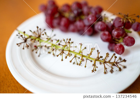 Grape stalks after dinner 137234546