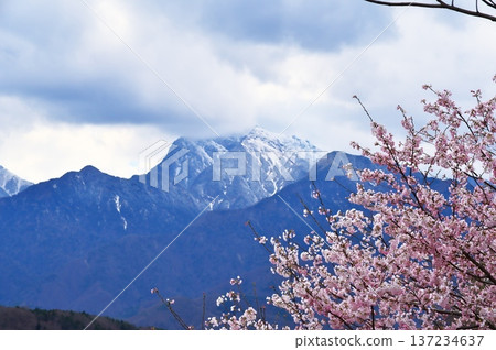 櫻花水車 137234637