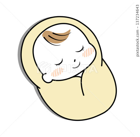 Baby sleeping wrapped in a swaddling cloth Baby sleeping wrapped in a swaddling cloth 137234643